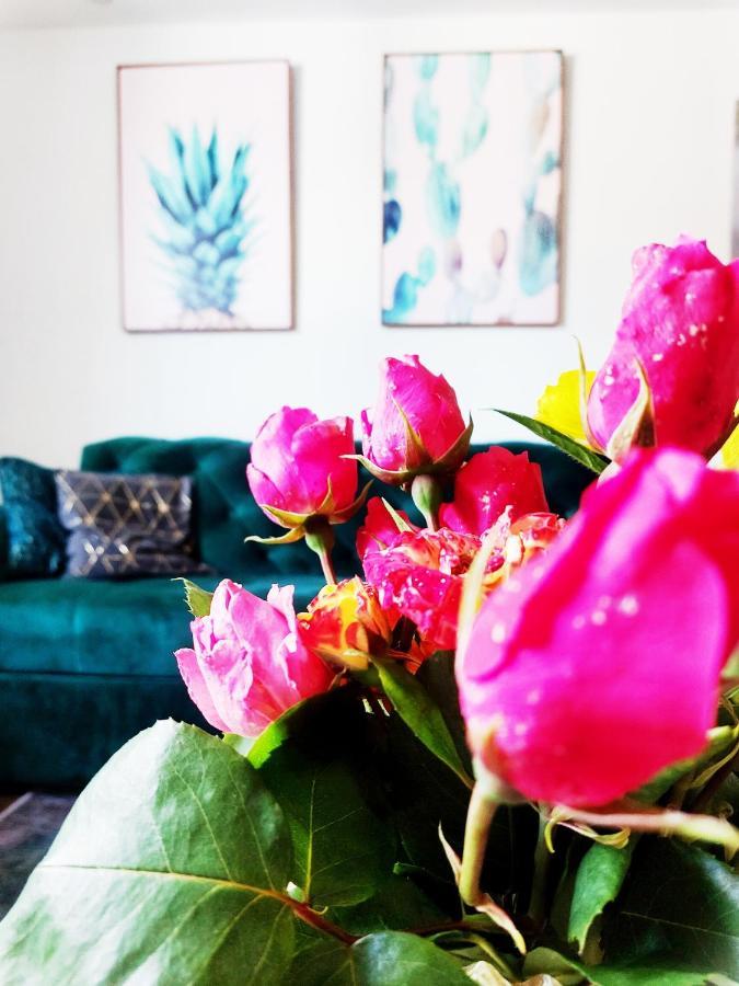 Apartman Dm Сараєво Екстер'єр фото
